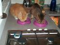 Flop en Spook  _06-07-07_36